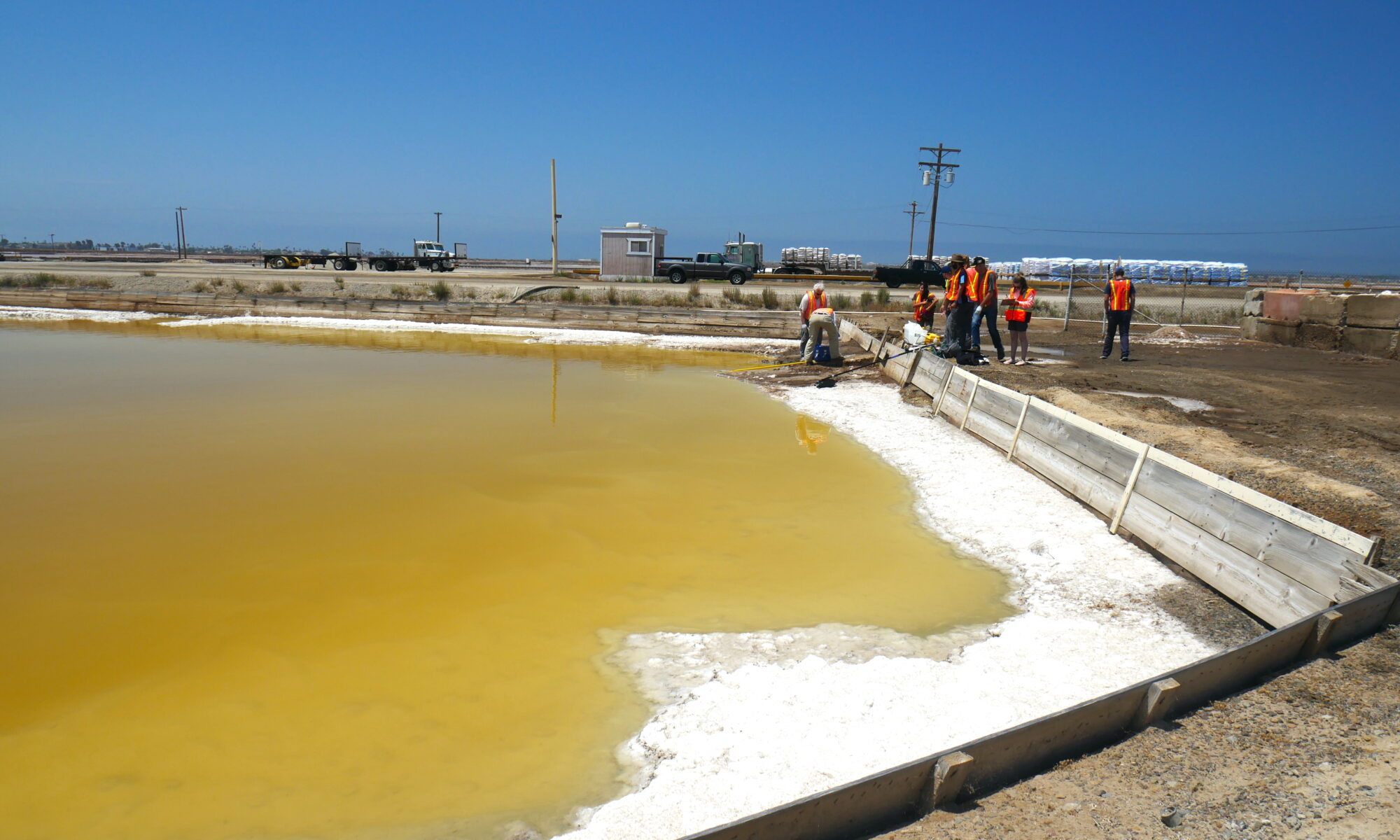 Photo of a yellow-brown magnesium chloride evaporation pool at South Bay Salt Works SBSW during 2019 OAST field work.
