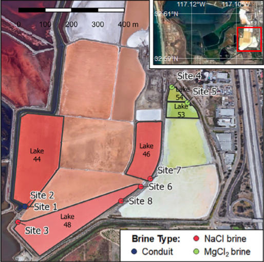 Fig 1. An aerial map of South Bay Salt Works. Inlay shows the position of our study site within SBSW, located at the South end of the San Diego Bay, Chula Vista,CA. Satellite imagery from Google Earth. [Color figure can be viewed atwileyonlinelibrary.com]