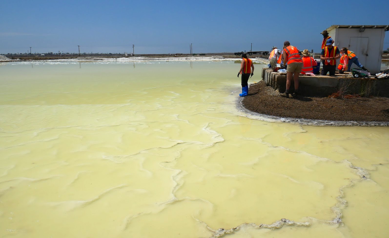 Photo of a yellow-green lake of magnesium chloride, with a small dirt landmass on the right with several people standing on it, wearing orange vests and taking samples.
